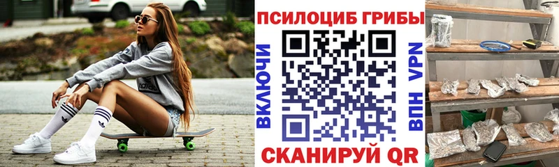 наркошоп  kraken   Галлюциногенные грибы Magic Shrooms  Красногорск 